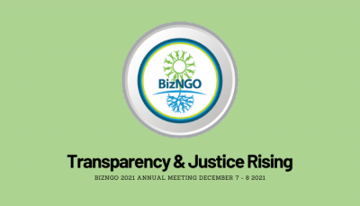 BizNGO 2021 Annual Meeting image