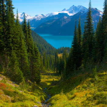 landscape.png