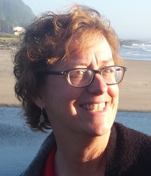 International SustainabilityDirector, Health Care Without Harm, BizNGO